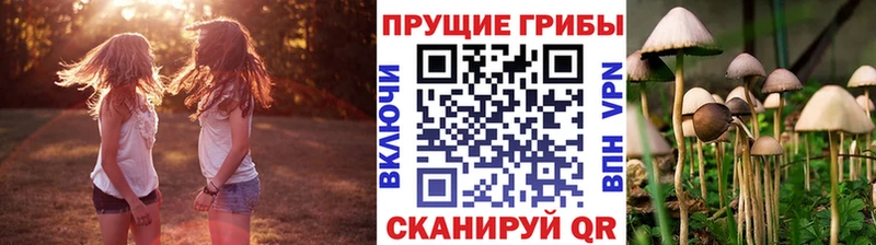 Галлюциногенные грибы Psilocybe  Баксан 